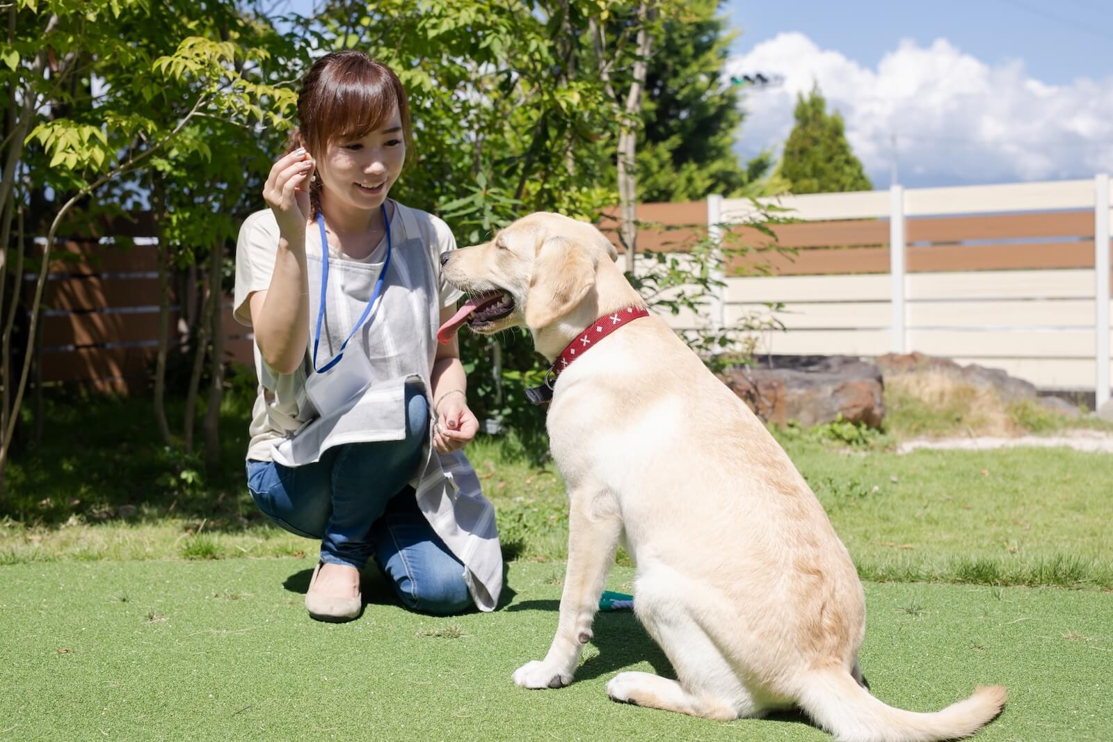 ペット繁殖インストラクター