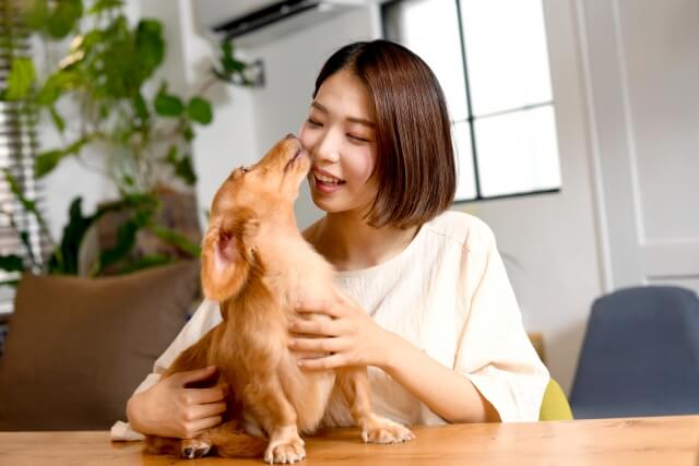 犬のしつけインストラクター資格