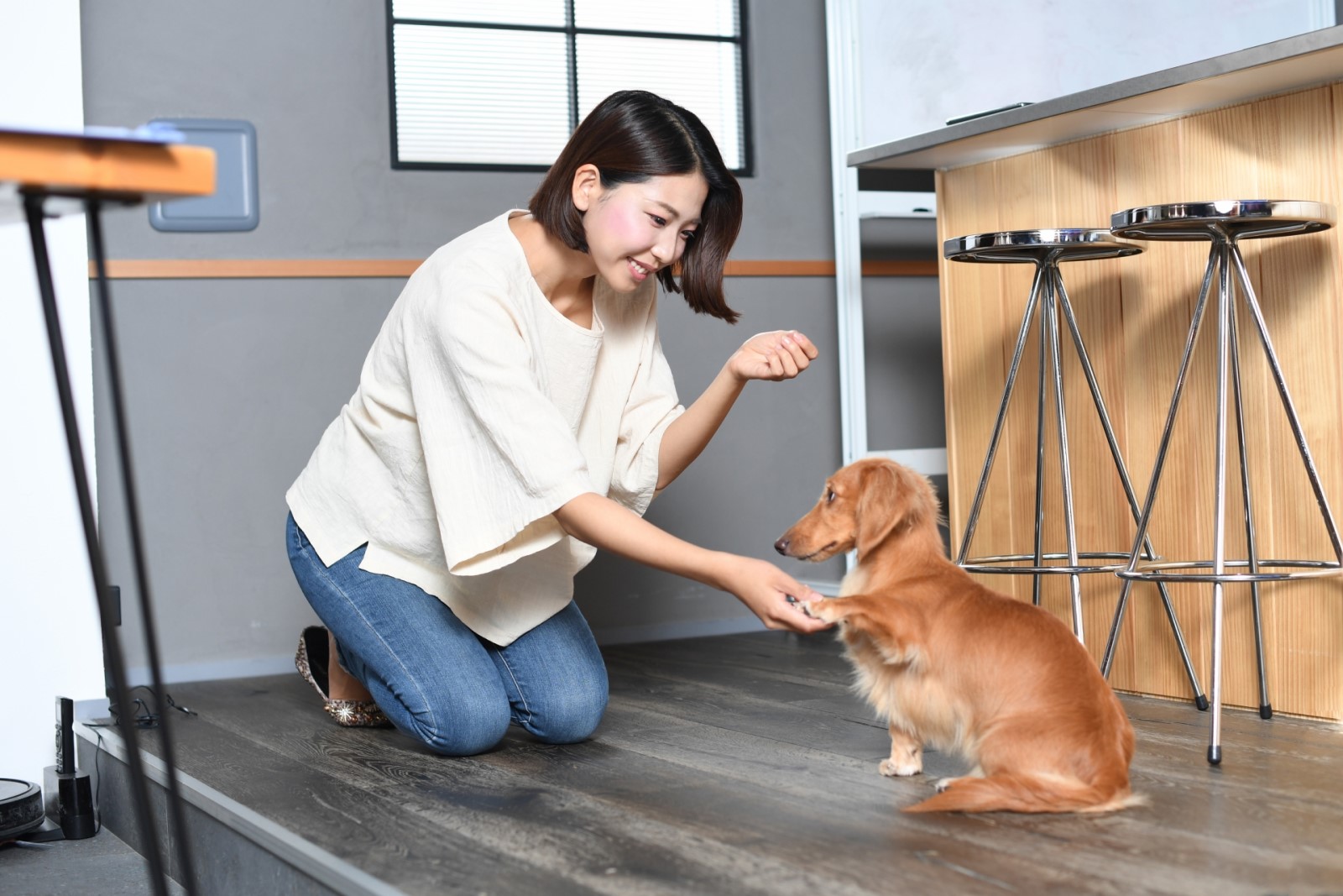 犬のしつけインストラクターコラム01_ヘッド画像