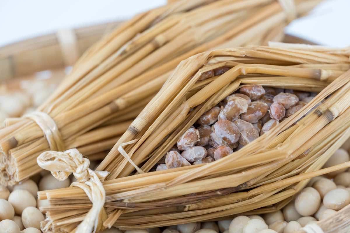 発酵食品と微生物の関係:美味しさの裏に潜む微生物の力